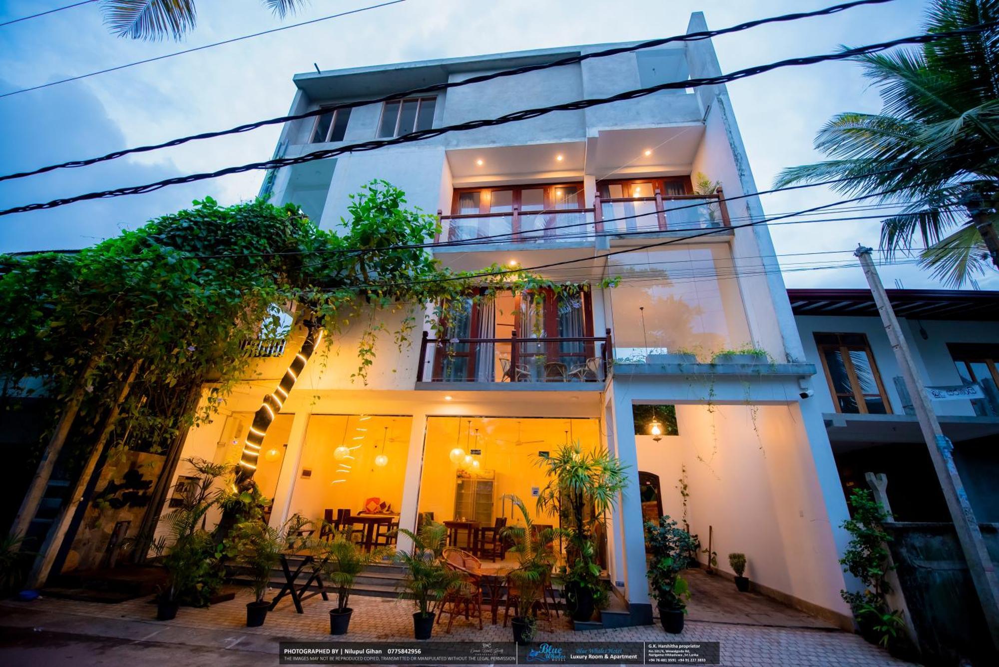 Blue Whales Hotel Hikkaduwa Exterior photo
